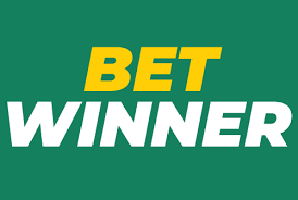 Explore BetWinner The Premier Online Gambling Platform