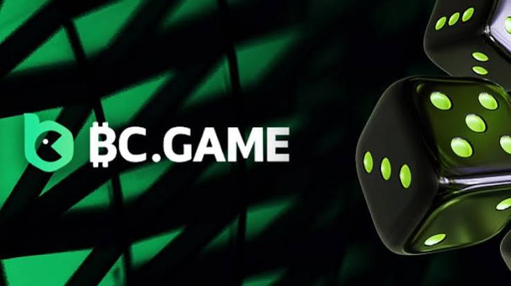Understanding the BC.Game KYC Verification Process 801549739